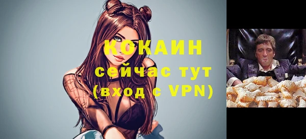 гидропоника Горнозаводск