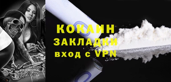 ешки Горняк