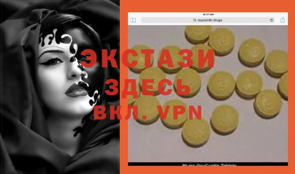 ешки Горняк