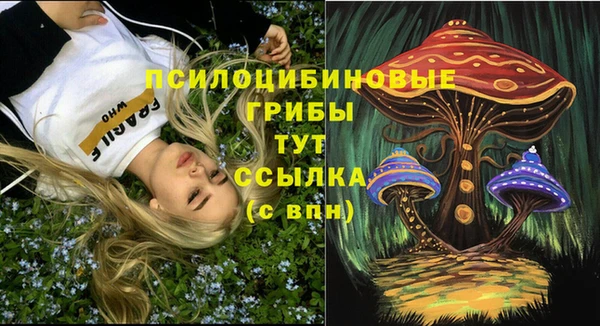 гидропоника Горнозаводск