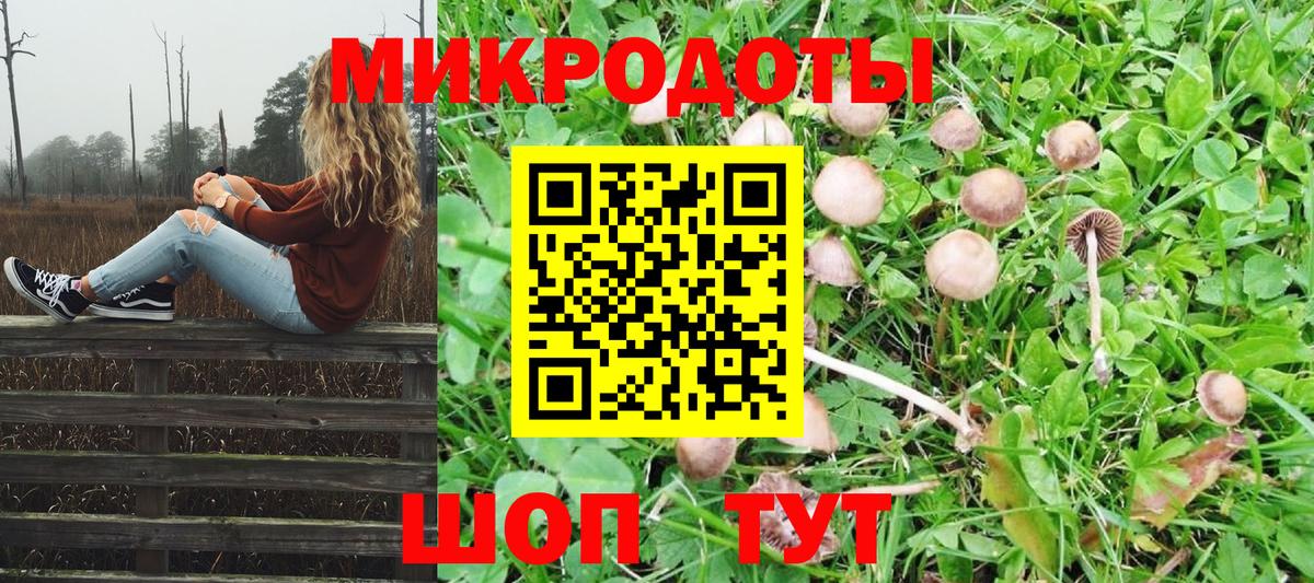 Балаково  Псилоцибиновые грибы GOLDEN TEACHER  Галлюциногенные грибы мицелий  Вход с VPN 