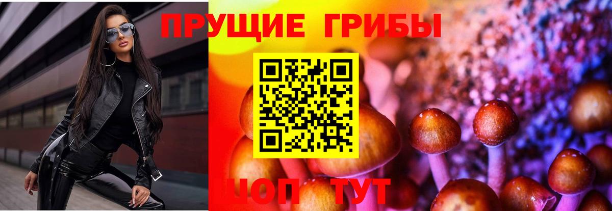 Галлюциногенные грибы прущие грибы Балаково